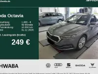 Gebraucht Skoda Octavia Style 150 PS (110 kW) 2023 Grau Kombi