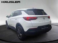 Gebraucht Opel Grandland X 131 PS (96 kW) 2022 Jade weiss SUV