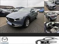 Gebraucht Mazda CX-30 2020 Grau SUV