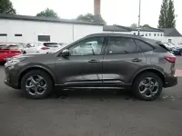 Neu Ford Kuga ST-Line 186 PS (136 kW) 2026 Andere SUV
