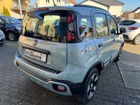 gebraucht Fiat Panda 1.0 Mild-Hybrid Launch Edition