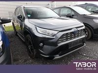 Gebraucht Toyota RAV4 Hybrid Style 222 PS (163 kW) 2020 Grau SUV