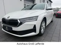 Gebraucht Skoda Octavia Essence 116 PS (85 kW) 2025 Weiß Kombi