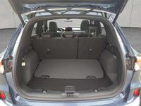 Gebraucht Ford Kuga ST-Line X 150 PS (110 kW) 2023 Blau SUV