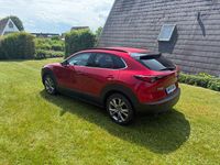 Gebraucht Mazda CX-30 Selection 150 PS (110 kW) 2020 Rot SUV