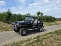 Gebraucht Jeep Wrangler 178 PS (130 kW) 1991 Schwarz SUV