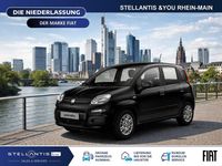 Neu Fiat Panda Icon 65 PS (47 kW) 2026 Schwarz Kleinwagen