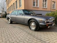 Gebraucht Jaguar XJ12 295 PS (216 kW) 1986 Grau Limousine