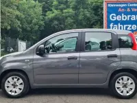 Gebraucht Fiat Panda Easy 69 PS (50 kW) 2017 Grau Kleinwagen