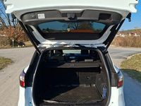 Gebraucht Ford Kuga ST-Line 175 PS (128 kW) 2019 Weiß SUV