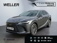 Neu Lexus RX450h Executive Line 292 PS (214 kW) 2025 Schwarz SUV