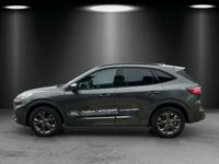 Gebraucht Ford Kuga ST-Line X 224 PS (164 kW) 2024 Magneticgrau (metallic) SUV