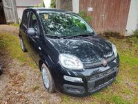 Neu Fiat Panda 69 PS (50 kW) 2025 Schwarz Limousine