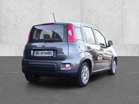 Gebraucht Fiat Panda 69 PS (50 kW) 2023 Grau Limousine