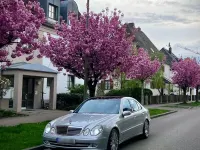 Second-hand Mercedes E200 Avantgarde 163 CP (119 kW) 2005 Argintiu Berlinǎ