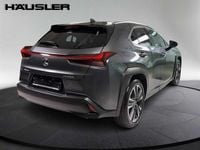 Gebraucht Lexus UX 250h 152 PS (111 kW) 2023 Grau SUV
