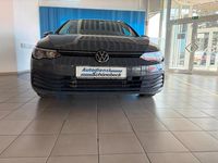 Gebraucht VW Golf VII Life 150 PS (110 kW) 2021 Kleinwagen