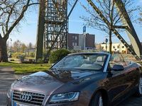 Gebraucht Audi A5 Cabriolet 211 PS (155 kW) 2009 Violet Cabrio