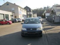 gebraucht Fiat Punto 1.2 8V Active