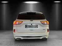 Gebraucht Ford Kuga ST-Line X 224 PS (164 kW) 2022 Weiß SUV