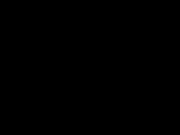 Gebraucht Ford Ranger Raptor 288 PS (211 kW) 2024 Lightning blue Pickup