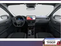 Neu Ford Kuga 184 PS (135 kW) 2025 Blau (desert island blue) SUV