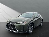 Gebraucht Lexus UX 250h 184 PS (135 kW) 2022 Grün SUV