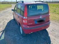 Gebraucht Fiat Panda 60 PS (44 kW) 2008 Rot Kleinwagen