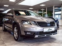 Gebraucht Skoda Octavia 150 PS (110 kW) 2019 Beige Kombi