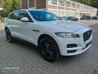 Gebraucht Jaguar F-Pace Pure 179 PS (131 kW) 2016 Weiß SUV