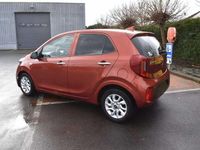 Gebraucht Kia Picanto 84 PS (61 kW) 2018 Orange Kleinwagen