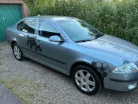 Gebraucht Skoda Octavia Elegance 116 PS (85 kW) 2006 Grau Limousine