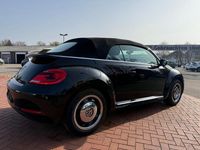 Gebraucht VW Beetle Cabriolet Design 105 PS (77 kW) 2014 Schwarz Cabrio