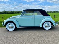 Gebraucht VW Käfer 34 PS (25 kW) 1963 Cabrio