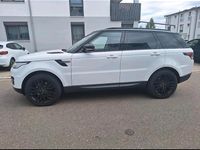 Gebraucht Land Rover Range Rover 258 PS (189 kW) 2014 Weiß SUV