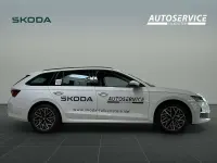 Gebraucht Skoda Octavia 150 PS (110 kW) 2026 Moonweiss metallic Kombi
