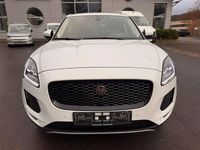 Gebraucht Jaguar E-Pace SE 179 PS (131 kW) 2019 Weiß SUV