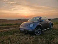 Gebraucht VW New Beetle Cabriolet 102 PS (75 kW) 2004 Grau Cabrio