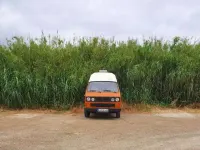 Gebraucht VW T3 50 PS (36 kW) 1986 Orange Van