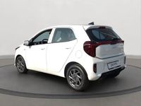 Neu Kia Picanto Vision 50 PS (36 kW) 2025 Weiß Kleinwagen