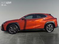 Gebraucht Lexus UX 250h Sport Line 184 PS (135 kW) 2024 Orange SUV