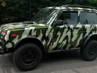 Gebraucht Lada niva 83 PS (61 kW) 2017 Grün SUV