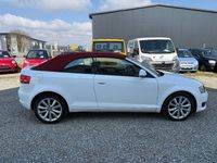 Gebraucht Audi A3 Cabriolet Attraction 102 PS (75 kW) 2009 Weiß Cabrio