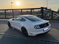 Gebraucht Ford Mustang GT Performance Edition 450 PS (330 kW) 2019 Weiß Coupé