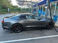 gebraucht Ford Mustang 3,7 PRINZ GASANLAGE