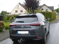 Gebraucht Lexus UX 250h 2023 Grau SUV