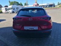 Gebraucht Mazda CX-30 Selection 122 PS (89 kW) 2022 Rot soul red crystal m metallic SUV