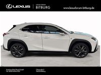 gebraucht Lexus UX 300h 