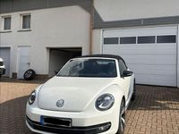 Gebraucht VW Beetle CLUB 105 PS (77 kW) 2016 Weiß Kleinwagen