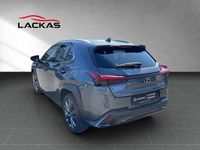 Gebraucht Lexus UX 250h Sport Design Packet 184 PS (135 kW) 2023 Sonic grey (grau) SUV